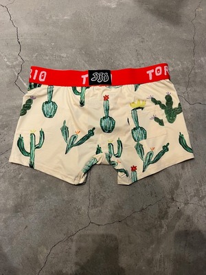 【メンズ】TORIO ボクサーパンツ サボテン