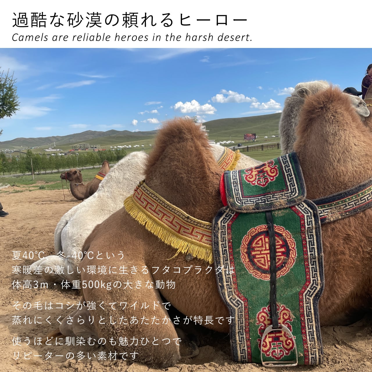 らくだのフェルトのベスト | 空飛ぶ羊 BASE webshop｜モンゴルの天然毛