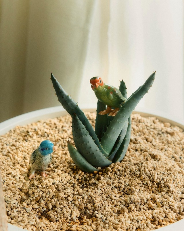 【ミニチュア陶器】Parakeet~インコ~