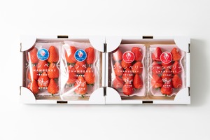 2種ｾｯﾄ｜ｽｶｲﾍﾞﾘｰ2P（1箱）＋とちあいか2P（1箱）