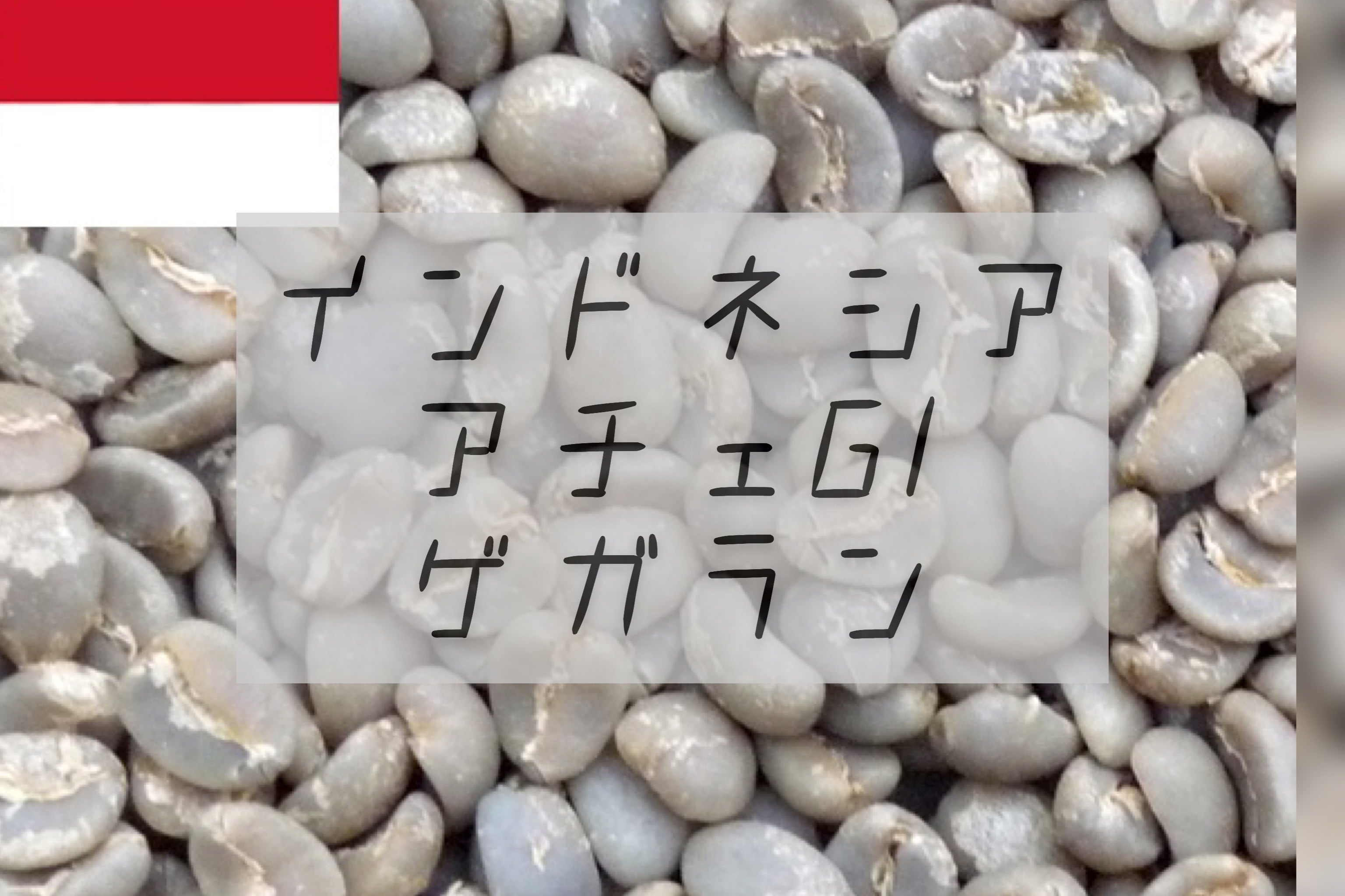 生豆｜インドネシア アチェG1 ゲガラン 500g | Nikko Coffee 日光珈琲