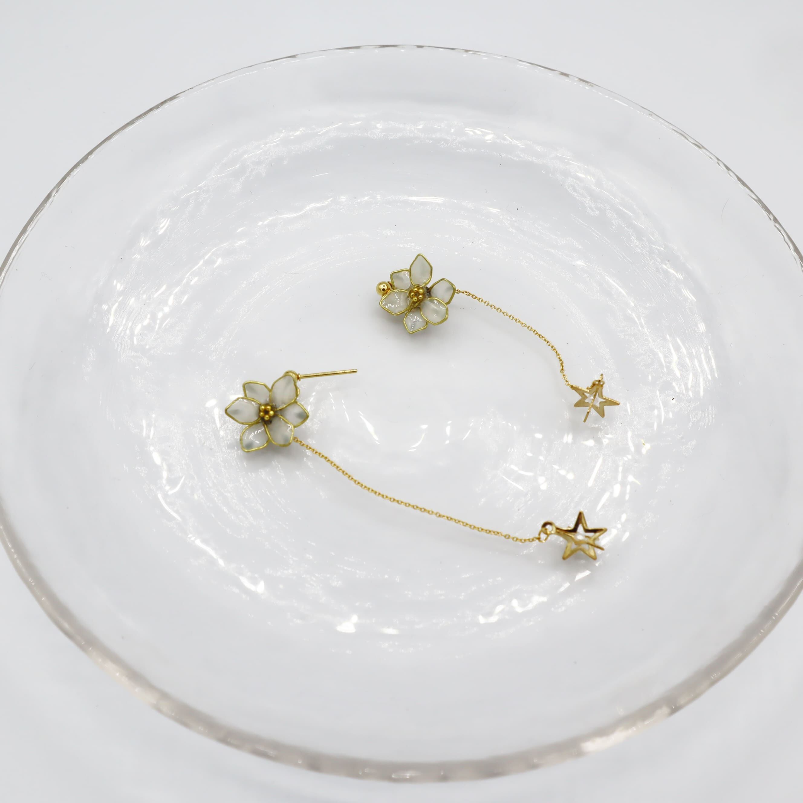 star flower（white）