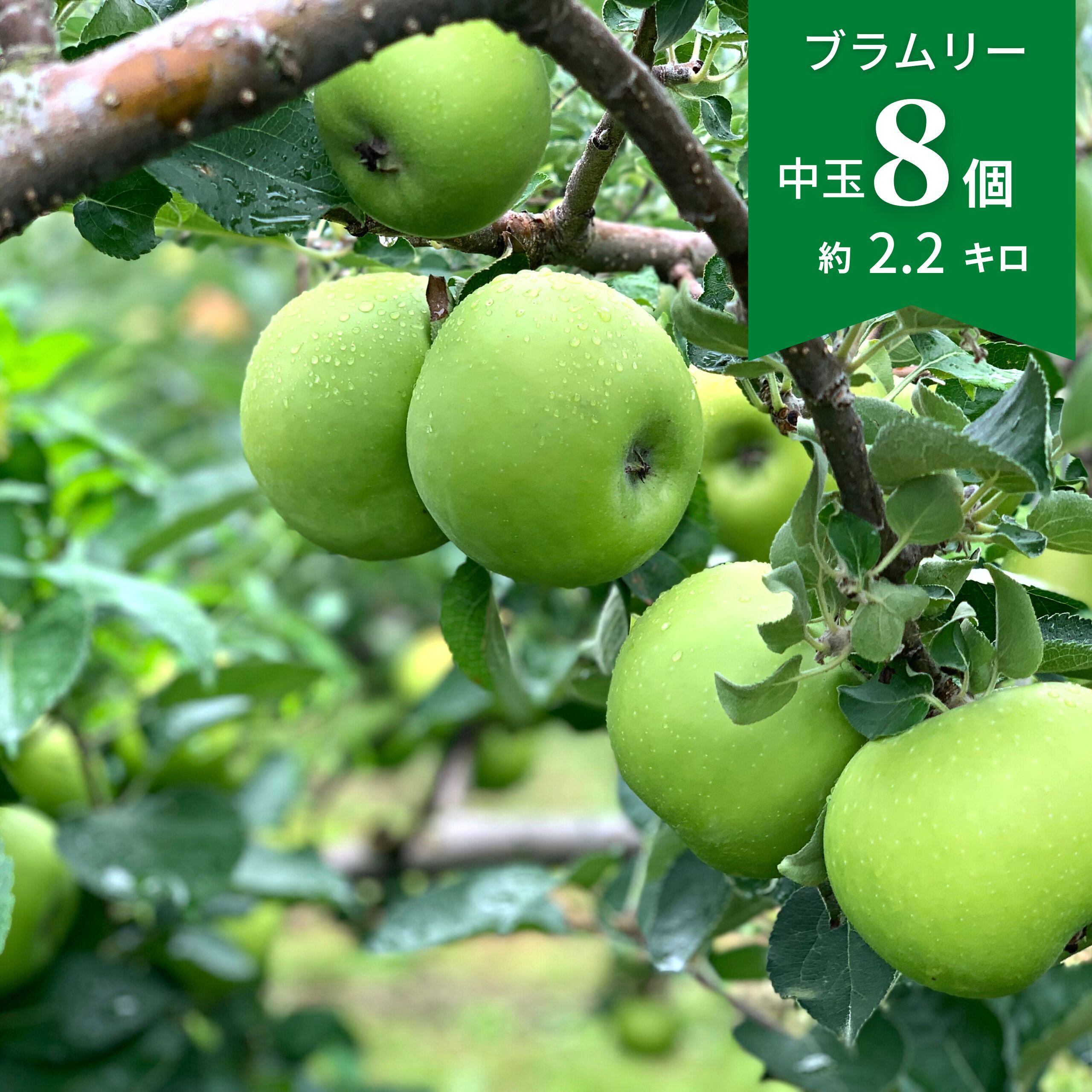 【すっぱいりんご】ブラムリー8個（約2.2キロ）岩手県産【発送日選択】（クール送料込）