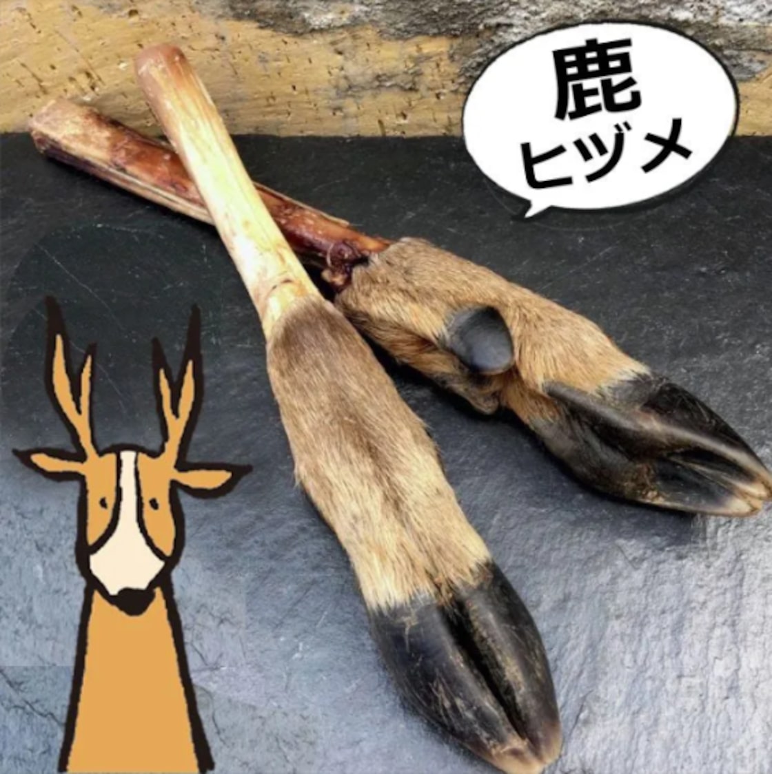 蝦夷鹿の角　14本セット　 204 蝦夷鹿の角 14本セット 204 蝦夷鹿の角 14本セット 204