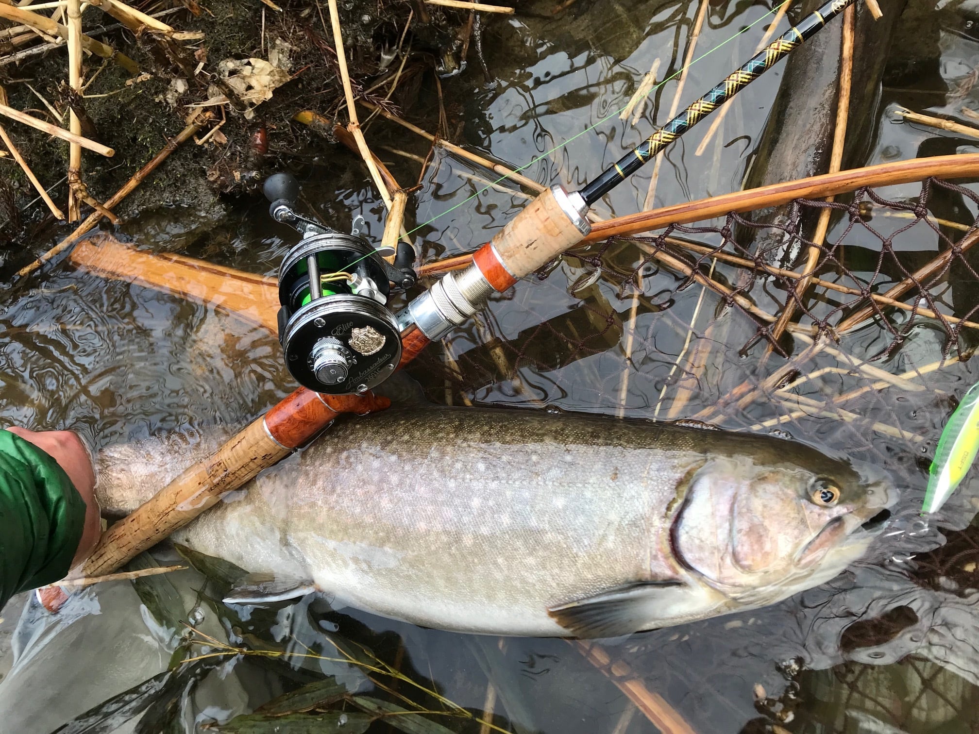 Dr. BORON PLUGGIN' BAITCAST 58H | saurusjunior