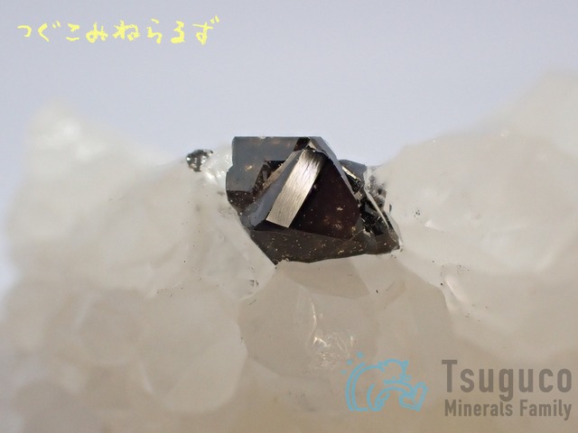 クォーツ 水晶 ドイツ TM-892