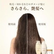 和の実 byヘアレシピ さらつや シャンプー 詰替 ×2個 セット (ワノミ・Wanomi)