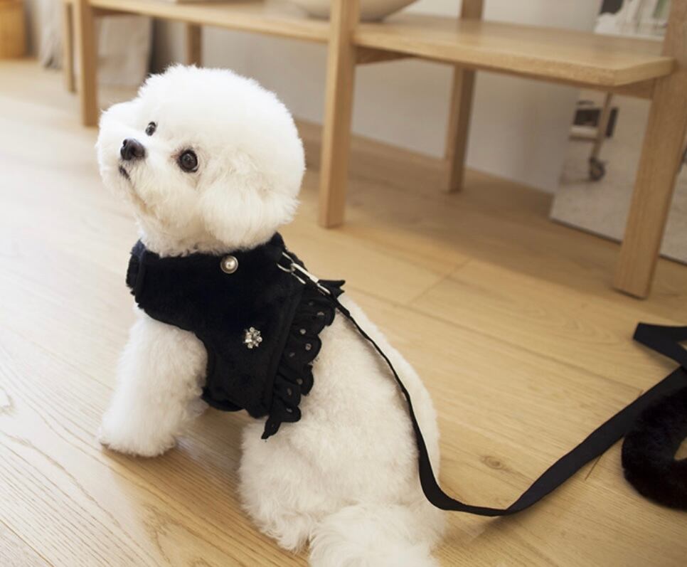 〖予約〗C0018 ミンキーハーネスセット