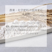 レイヤーチーズケーキ "リヴァイブフルーツ" ~和歌山県産オレンジ~