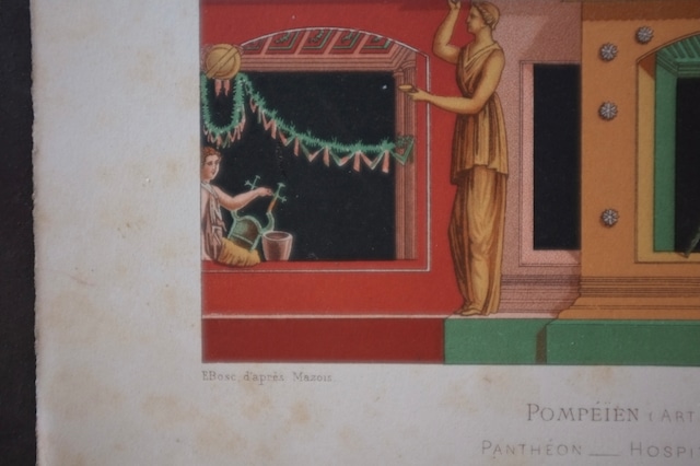 19世紀  魔術的色彩と装飾図版c フランス アンティーク