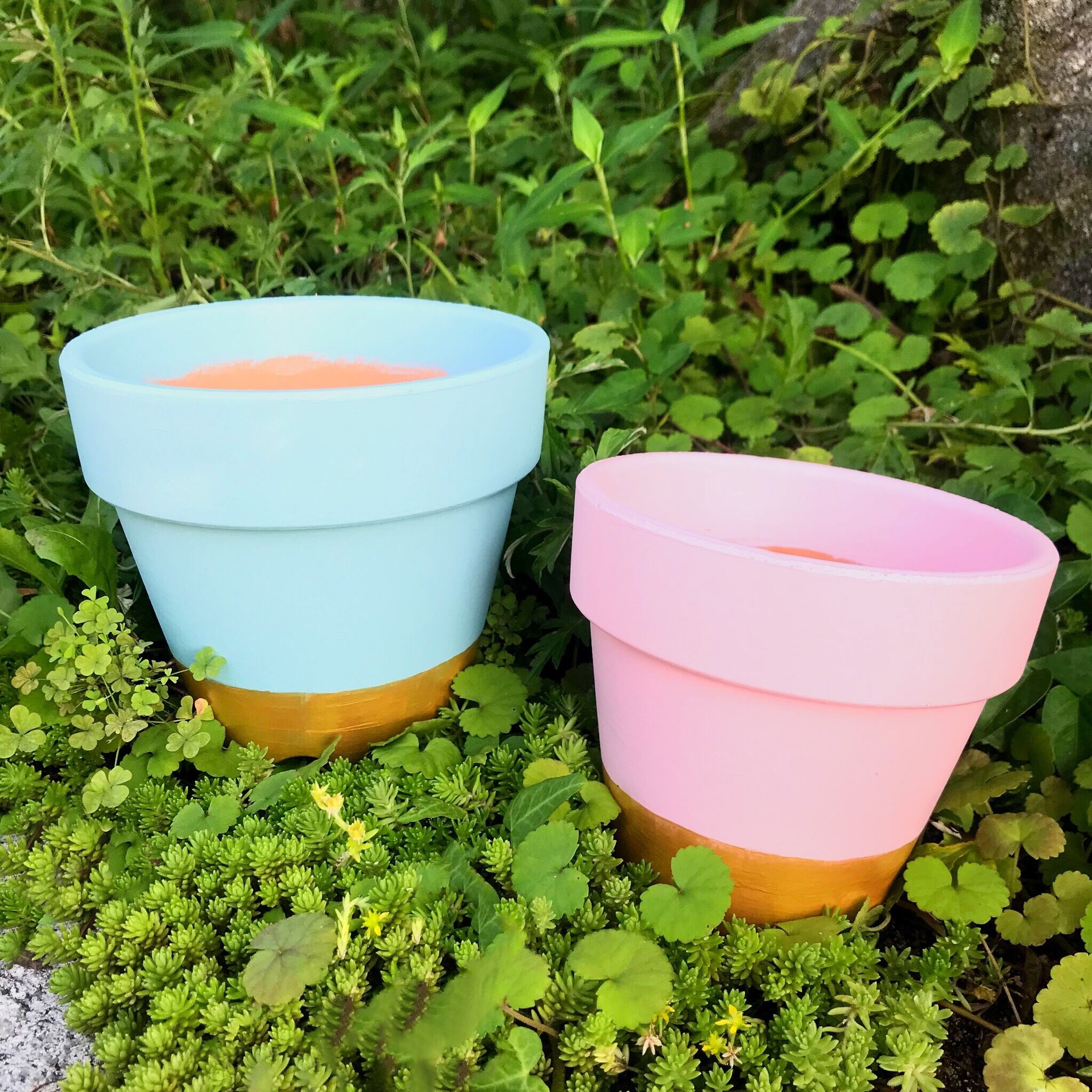 ペイント鉢 バイカラー 4号 | cochi