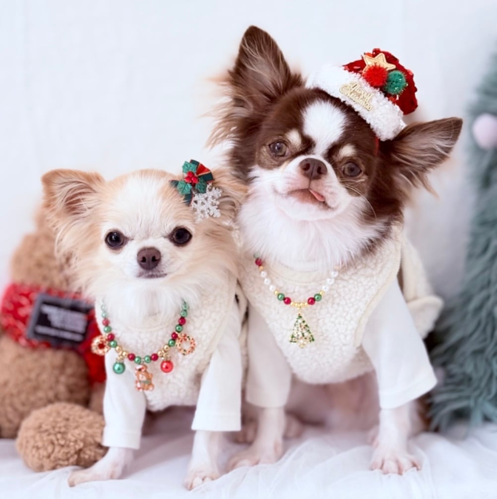 クリスマス*サンタブーツとゴールドツリーネックレス