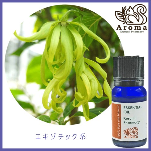 イランイラン　 10mL 　Ylang Ylang