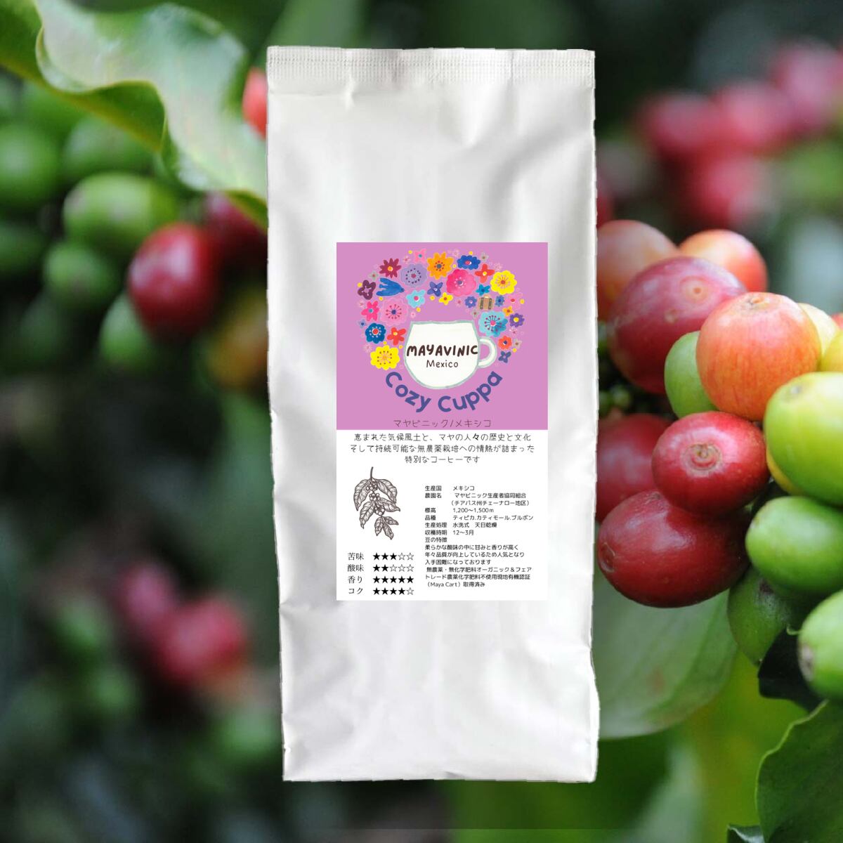 迷ったらこれ！メキシコ マヤビニック コーヒー豆 150g （フェア