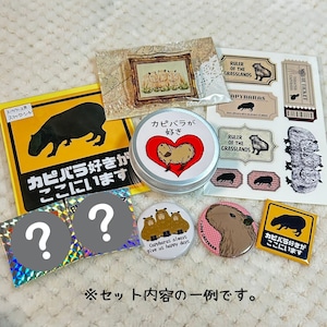 【福袋】何が届くかお楽しみ！！開運カピバラ福袋2026