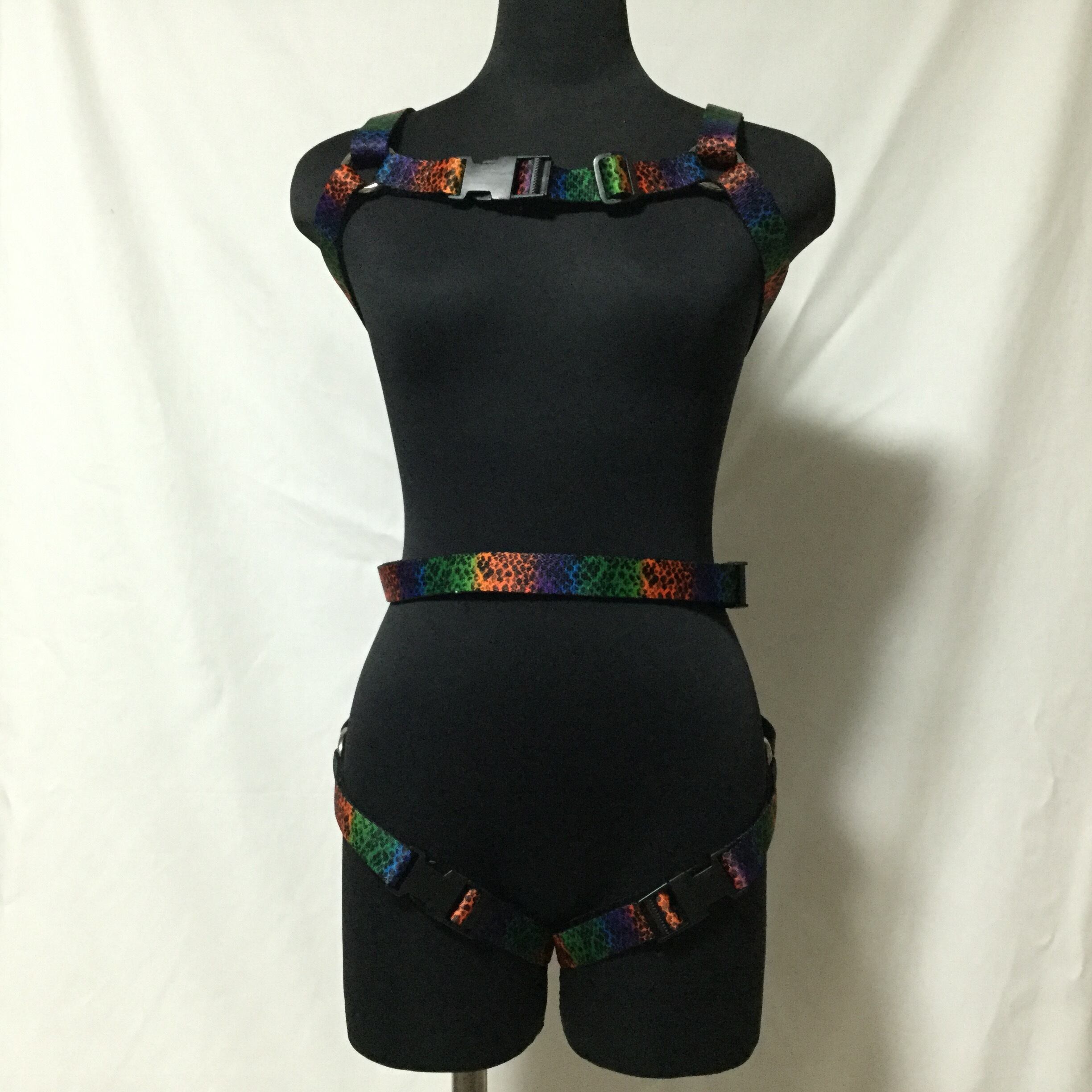 フルハーネス レインボースケール