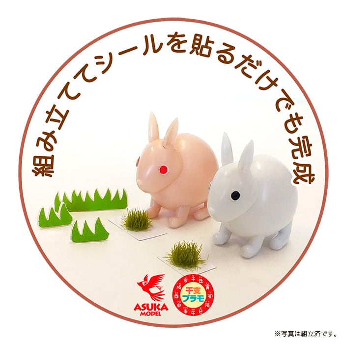 うさぎ出品 秋田発・ジャンボウサギはいま：最高値「5万円」で落札 毛並みや育ち