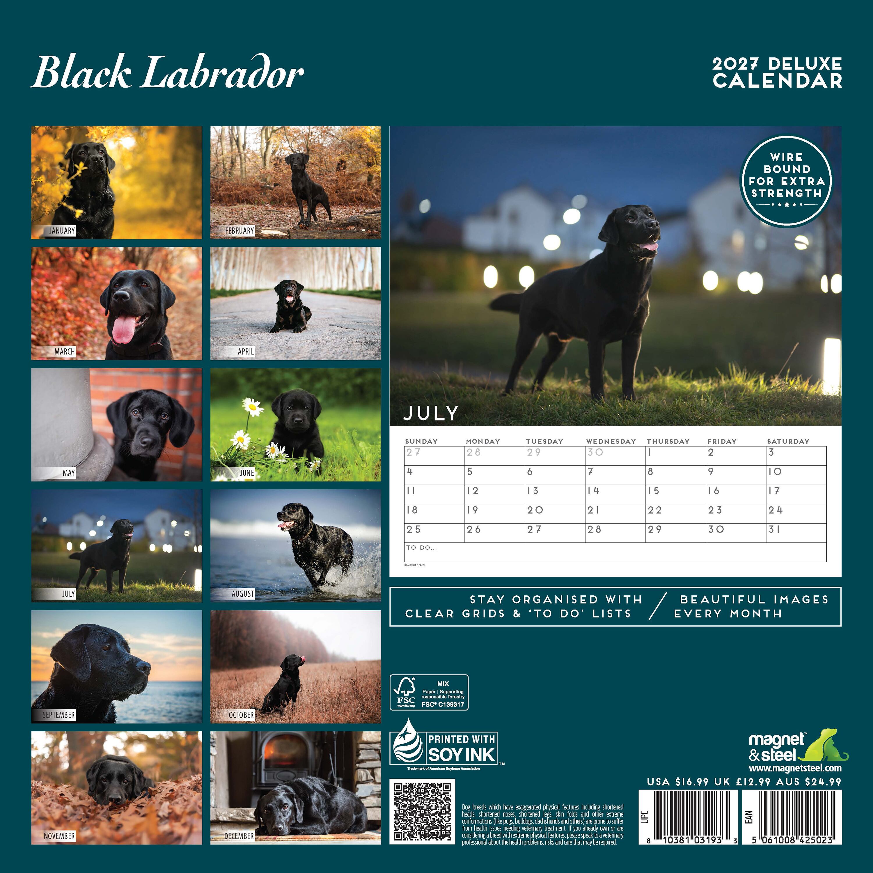【2027年版】英国製犬種カレンダー【ブラック・ラブラドール】 DELUXE 2027年版