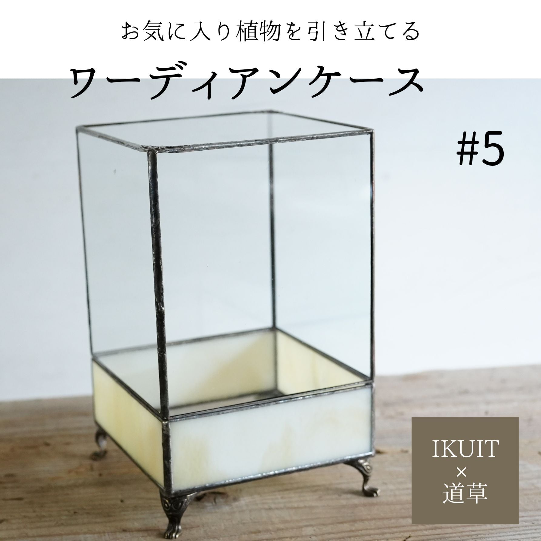 IKUIT×道草コラボ3弾】ワーディアンケース 白系 #5 | 苔テラリウム専門