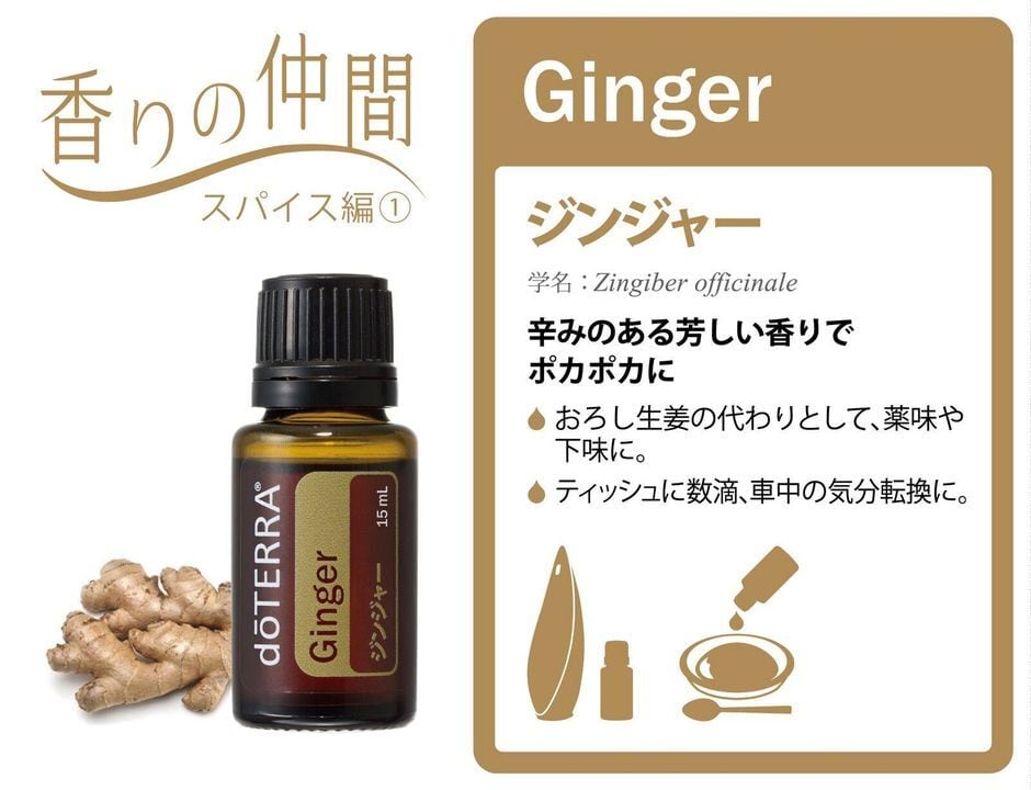 アロマ ジンジャー doTERRA エッセンシャルオイル ドテラ アロマ ジンジャー doTERRA エッセンシャルオイル ドテラ