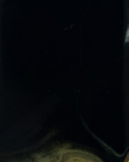 iPhone 17Pro対応 / 17P-0002