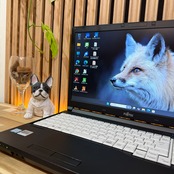 \ 公式ショップ限定価格❣️/ ☘極美品☘️富士通 LIFEBOOK A576/P‼️光学ドライブ搭載☘SSD256GB☘️メモリ8GB☘Core i5☘️ノートパソコン☘️安心サポート＆3ヶ月保証付き