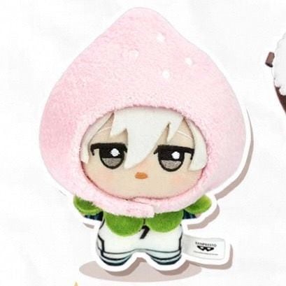 10cm ぬい服 ピンクと赤 いちごの被り物 苺 ぬいぐるみ用 着ぐるみ