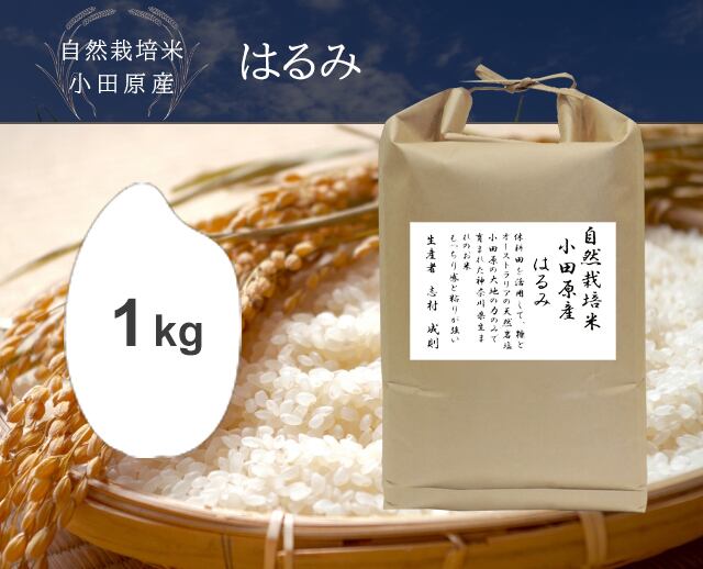 はるみ米 精米後24キロ はるみ米 精米後24キロ