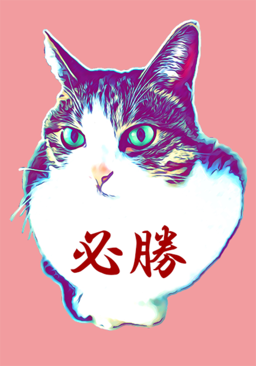 猫 ポストカード The Cat who....達磨猫 必勝のハガキ イラスト 10x14.8センチ（cm）官製はがきサイズ 猫写真 はがき ねこ葉書 ネコハガキ Postcard アイとちび だるま