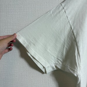 Hanes BEEFY- アート  半袖 Tシャツ