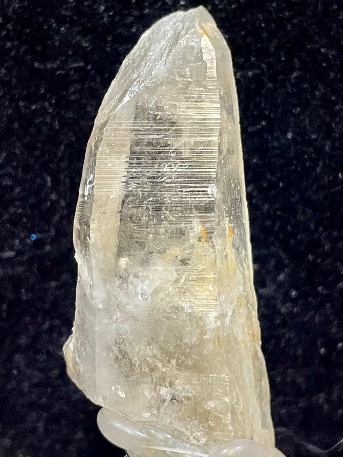 9) ロシアン・レムリアン