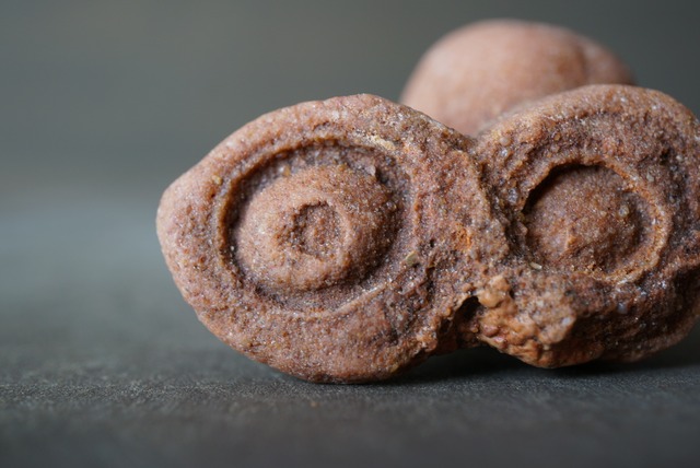 モロッコ産ストロマトライト　Stromatolite　1057