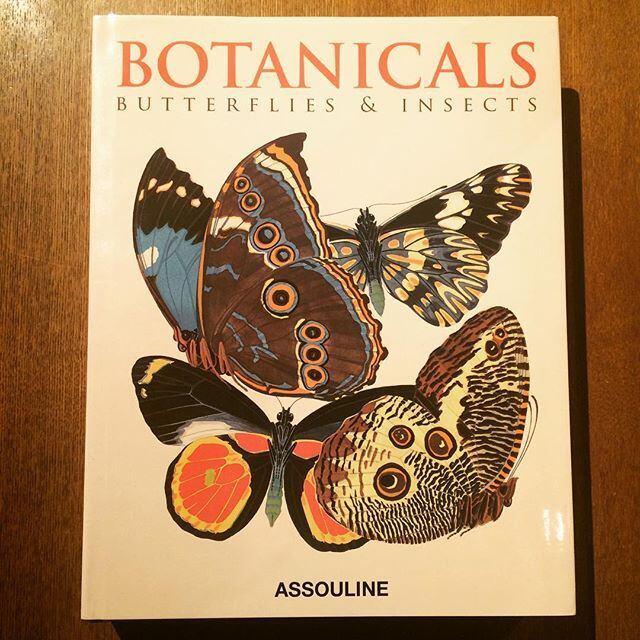 画集「Botanicals: Butterflies & Insects」 - 画像1