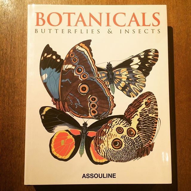 画集「Botanicals: Butterflies & Insects」 - メイン画像