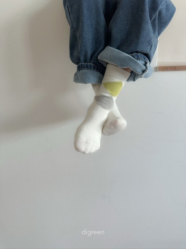 〘予約〙digreen / socks_argyle