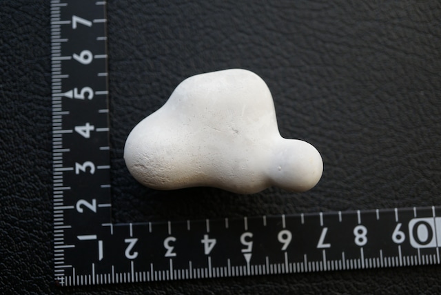 メニライトオパール Menilite Opal 1922