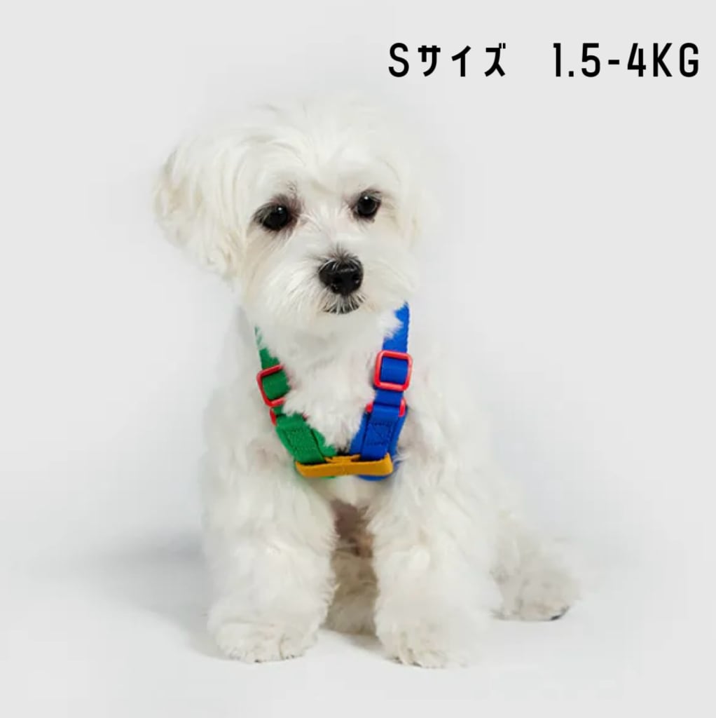 子犬　根付 a18ab1bac04342c18617281acbce16