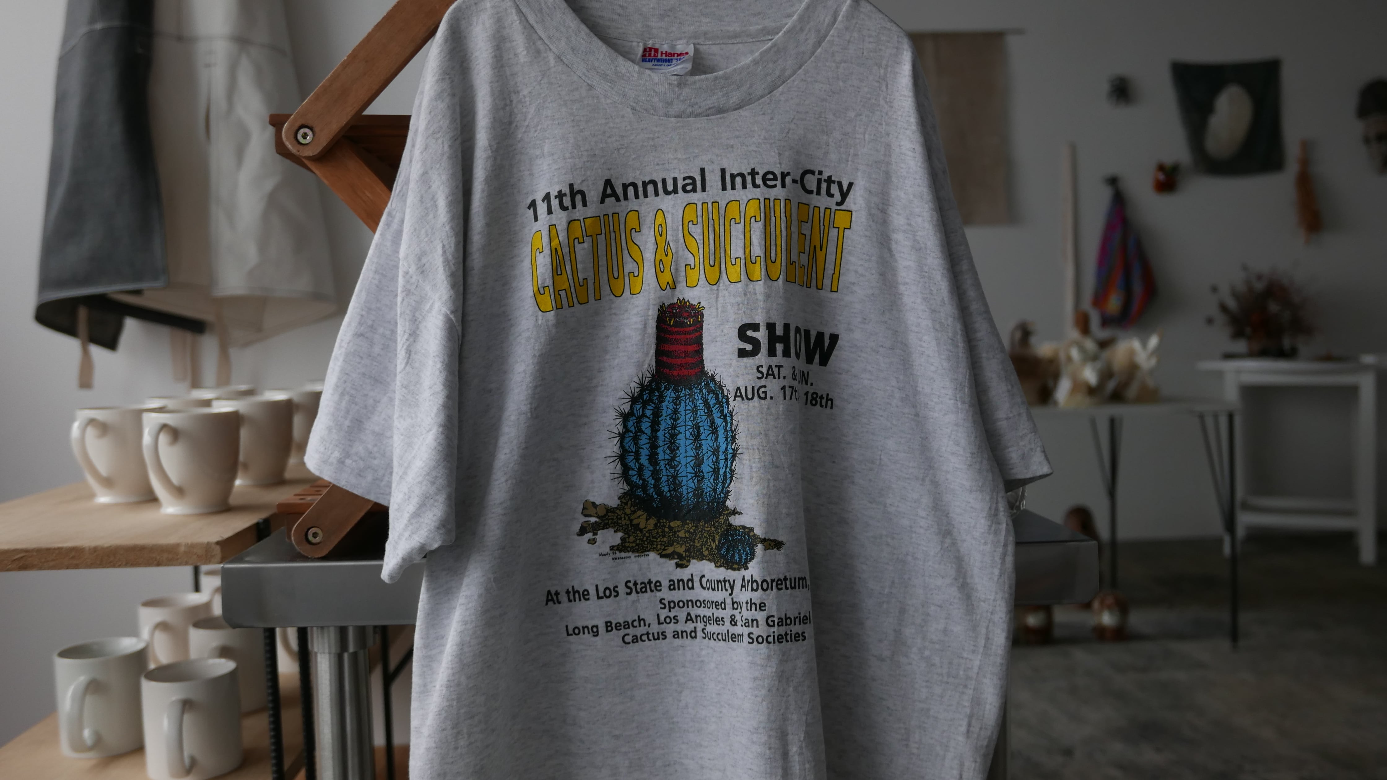 old tee , cactus and succulent