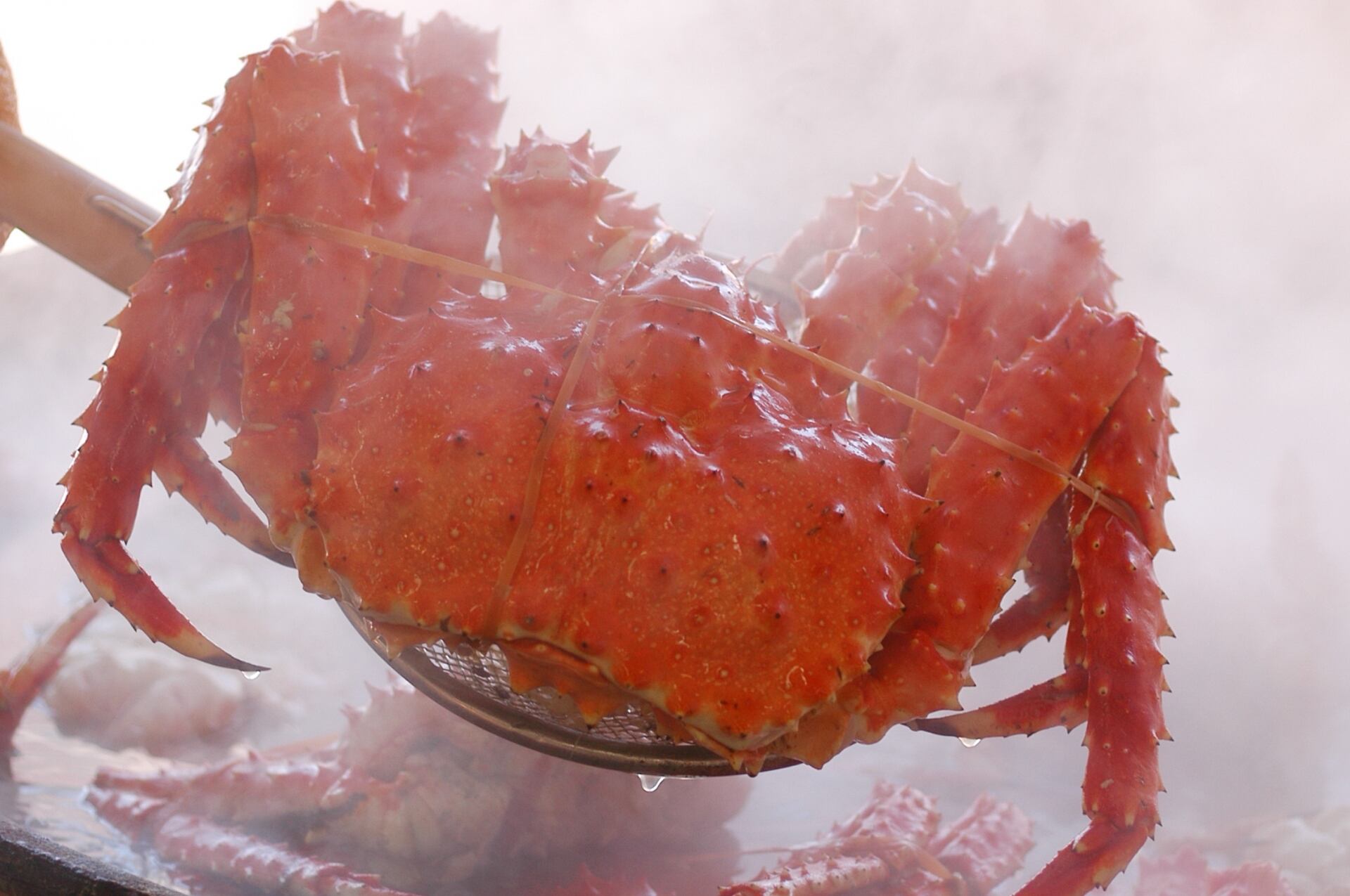 タラバ蟹 姿2．3kg前後【ボイル冷凍】3-4人前 ※蟹をメインに食すに