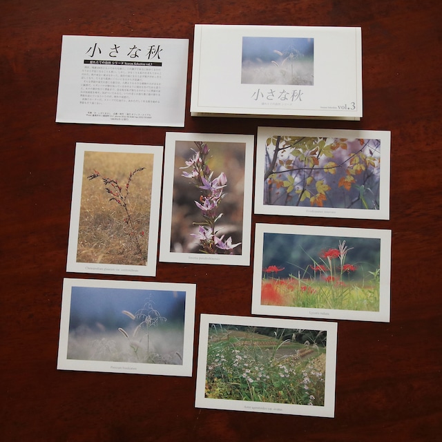 【ポストカード】草と木の組曲vol.1