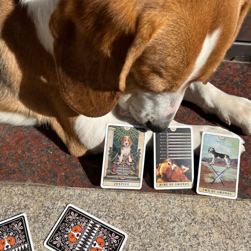 【正規品タロットカード】ビーグル犬好きさん必見✨超キュートなビーグル犬のデッキ 正規品タロットカード】ビーグル犬好きさん必見✨超キュートな