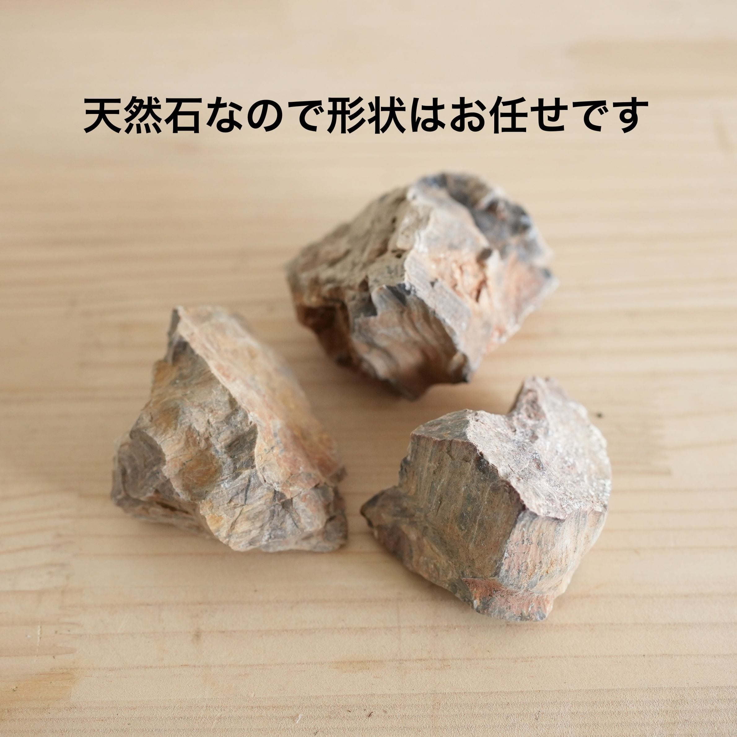 木化石 Mサイズ（7㎝前後） 3個入り【テラリウムレイアウト用】 | 苔
