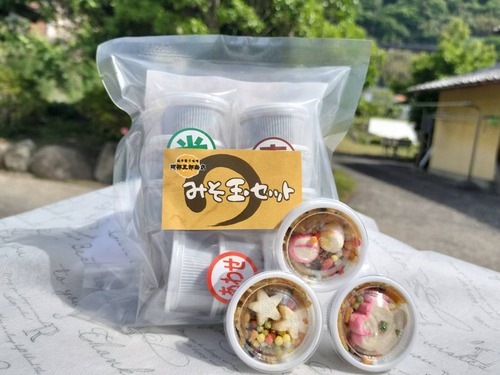 味噌玉セット（9個入り）