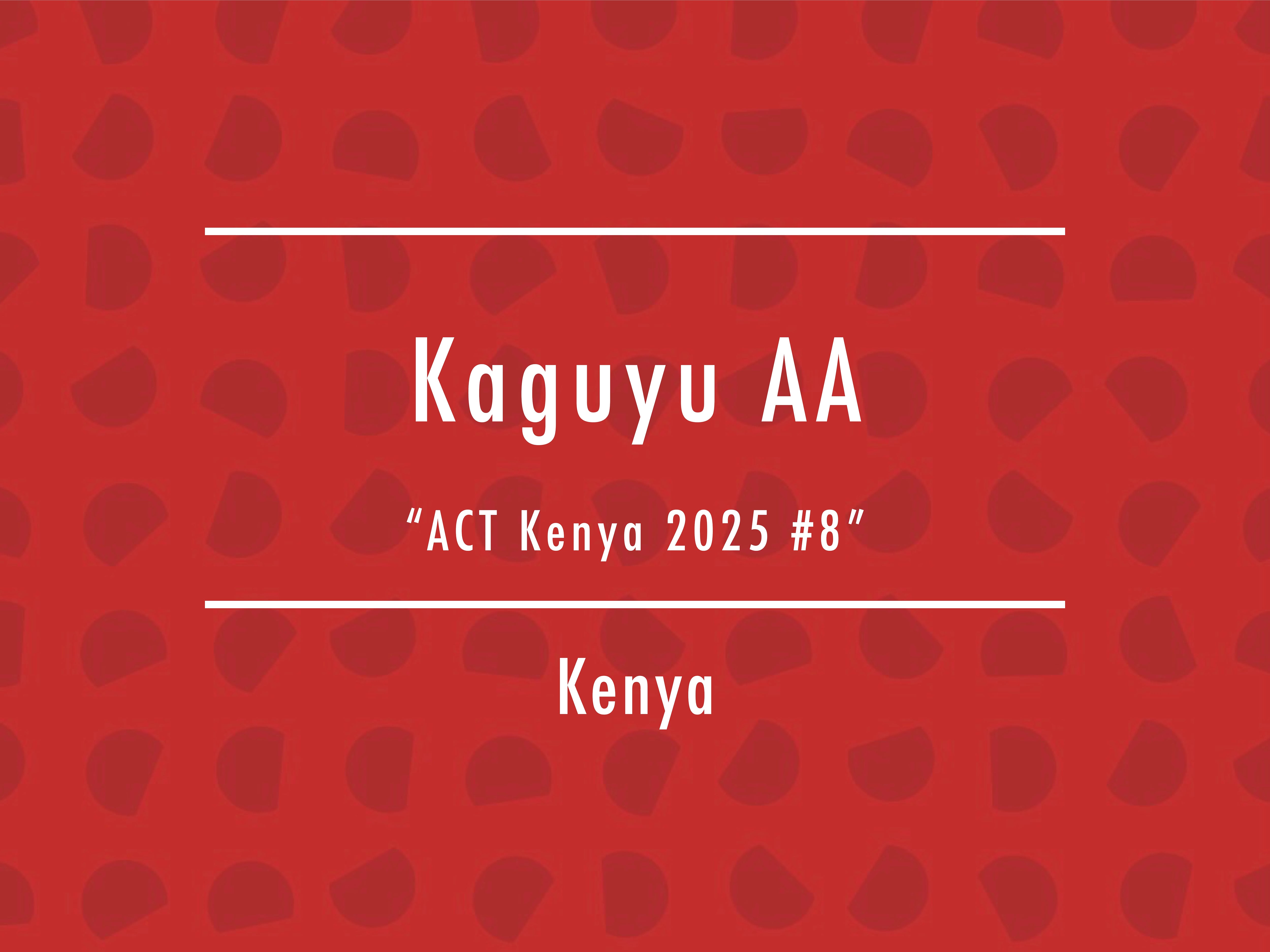 【100g】ケニア / Kaguyu AA “ACT Kenya 2025 #8”