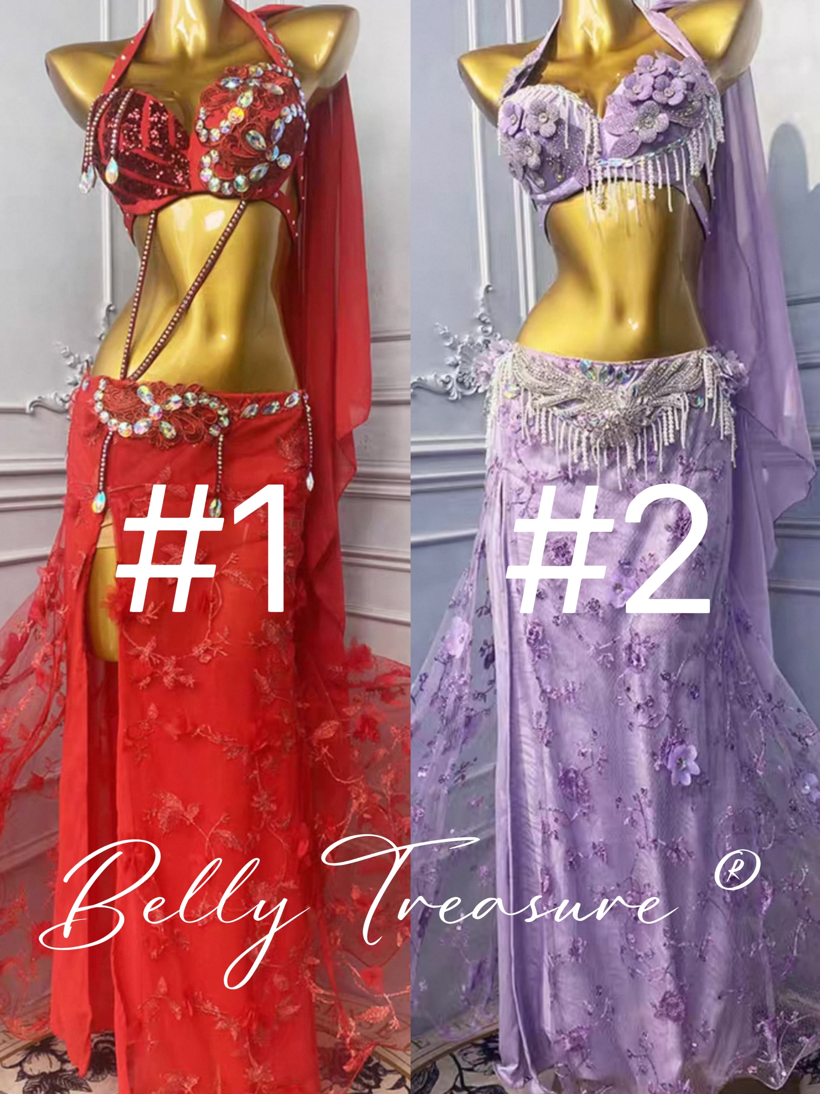 2カラー ベリーダンス衣装 WZY 209 202508