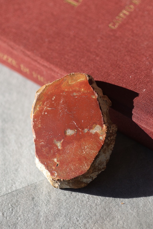 ペトリファイドウッド プレート |  Petrified Wood Plate ◇ 天然石・鉱物・パワーストーン | st00411