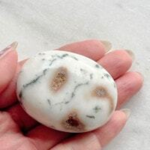 【美石】ツリーアゲート　握り石　5550