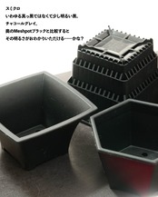 mame bon pot シホウ 8.4cm 【日本初上陸?!】