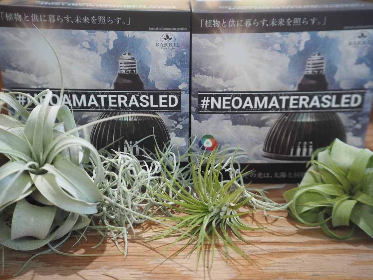 AMATERAS LED 20W　植物ライトセット