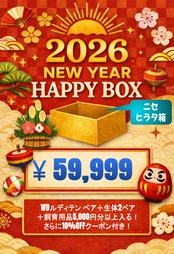 【ニセヒラタ箱】2026 New Year HAPPY BOX（お得箱） 59,999